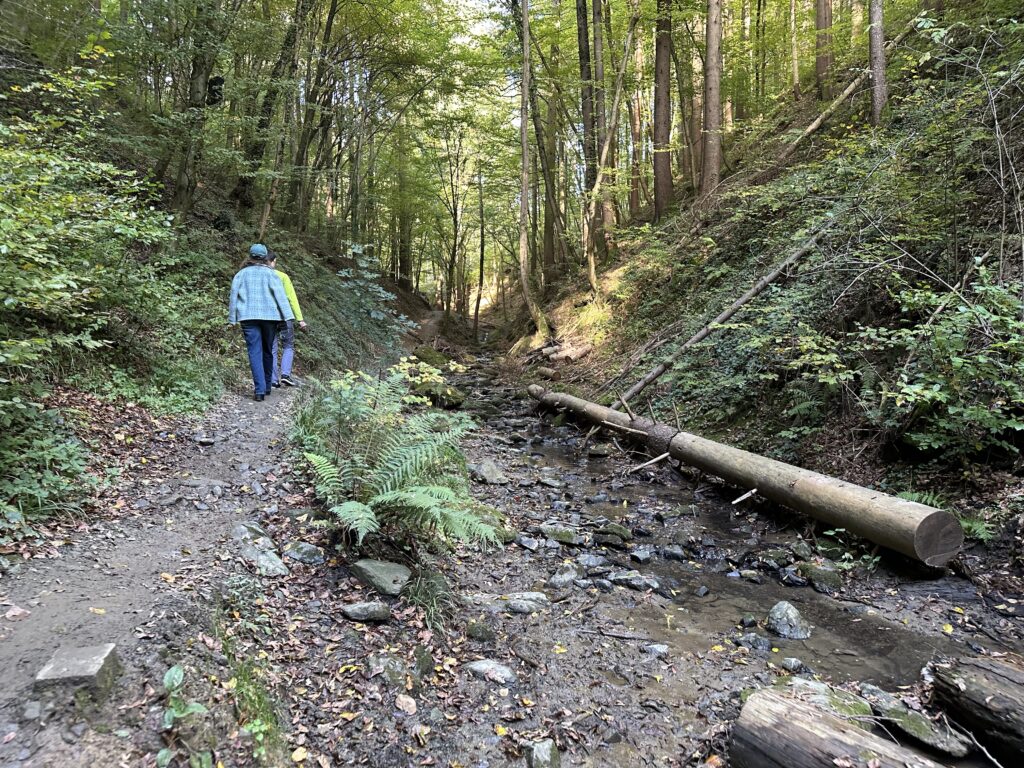 Rettenbach Wanderung