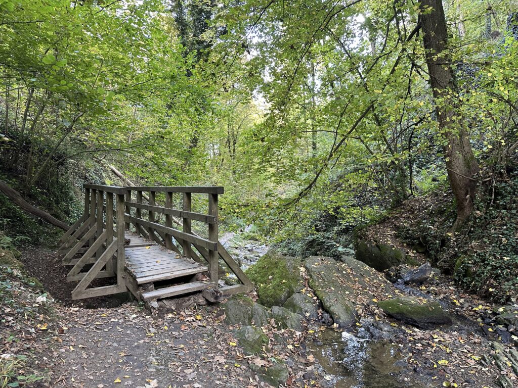 Rettenbachklamm Eintritt